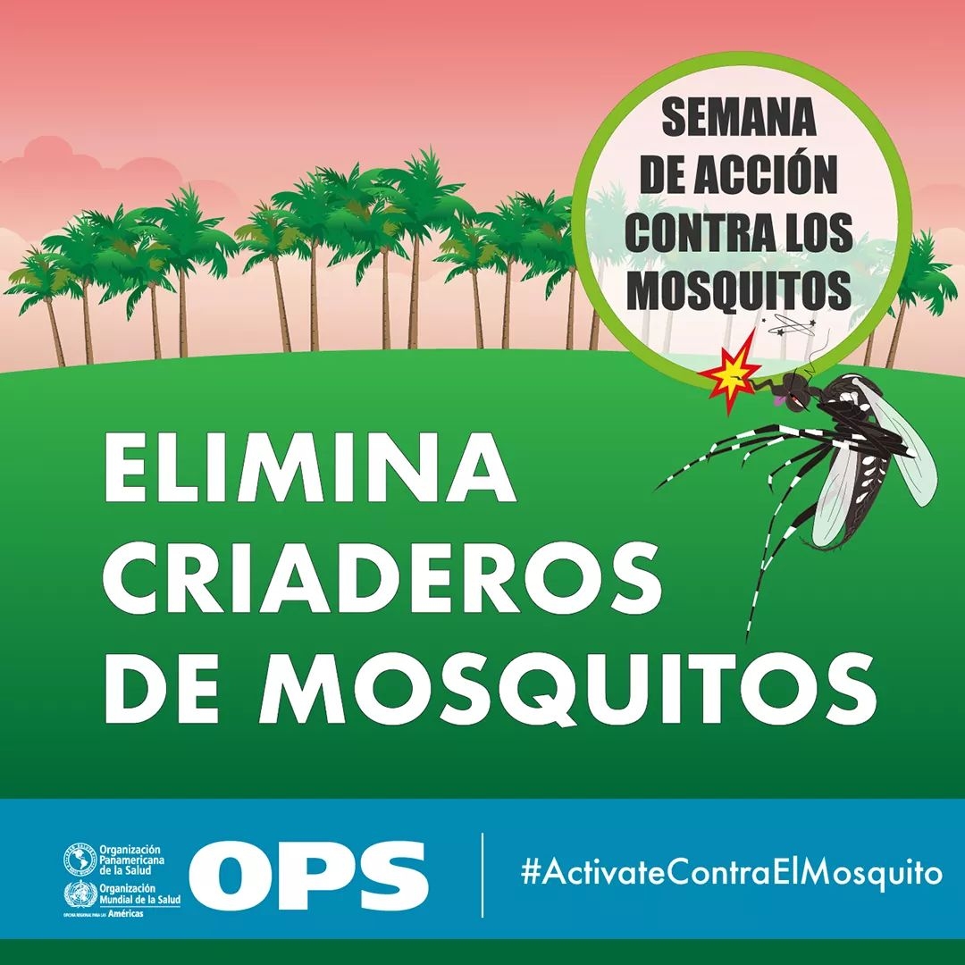 Dengue- ELIMINAR CRIADEROS